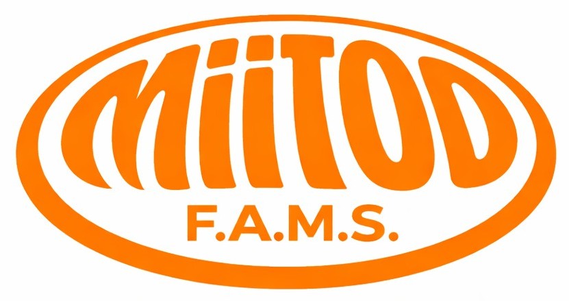 miitoo-st